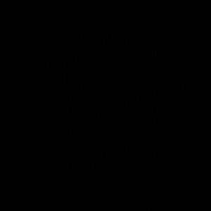 Meet your Posher, Nora